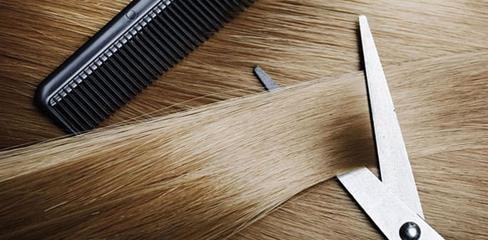 Disfruta de nuestros servicios